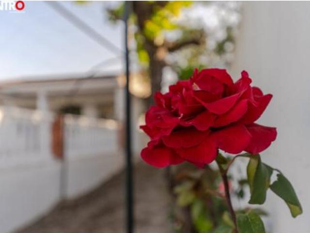 Casa en venta en Comarca del Valle de Lecrín, Andalucía