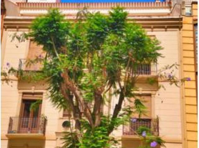 Casa en venta en el Vinalopó Mitjà / El Vinalopó Medio, Valencia