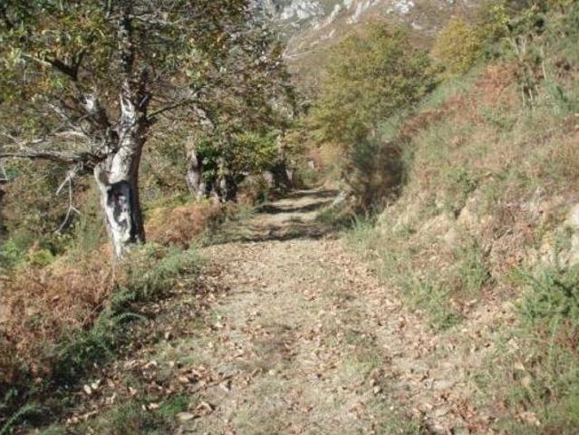 Casa en venta en Piloña, Asturias