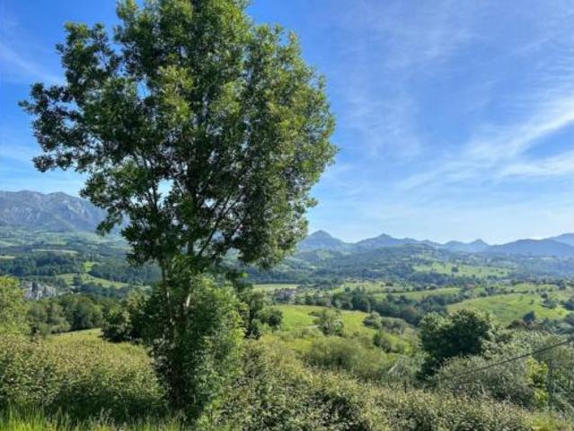 Casa en venta en Piloña, Asturias
