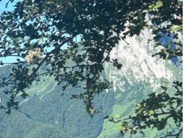 Casa en venta en Ponga, Asturias