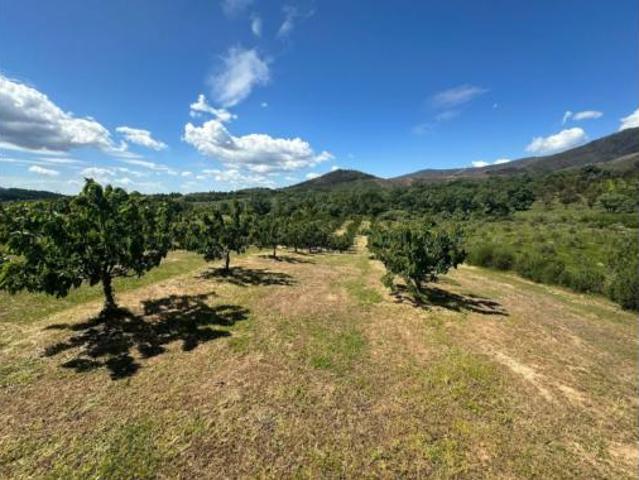Casa en venta en Pozuelo De Zarzón, Extremadura