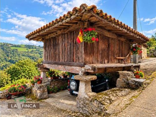 Casa en venta en Proaza