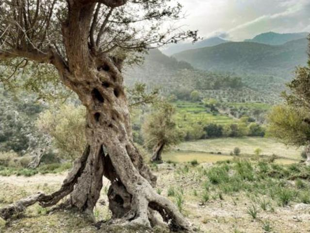 Casa en venta en Serra de Tramuntana, Baleares