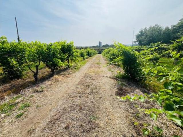 Casa en venta en Barrantes, O Salnés