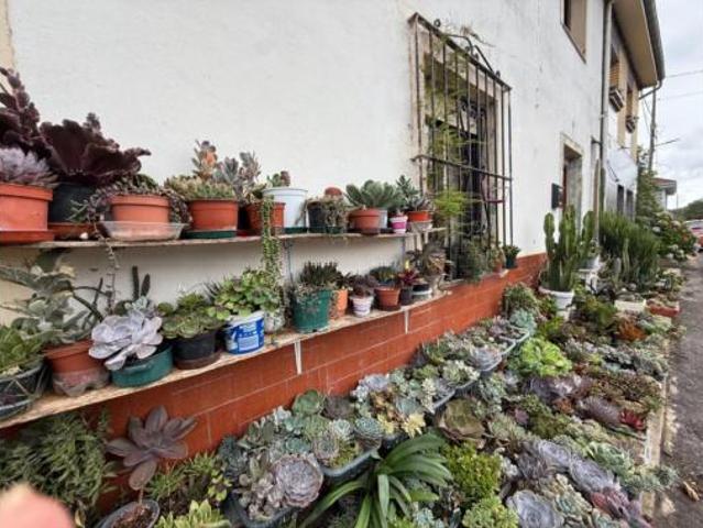 Casa en venta en Grado, Asturias