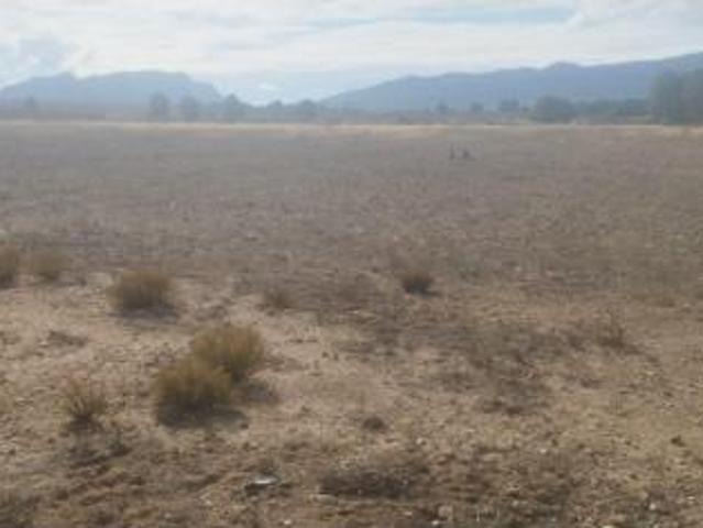 Casa en venta en Salinas, Valencia