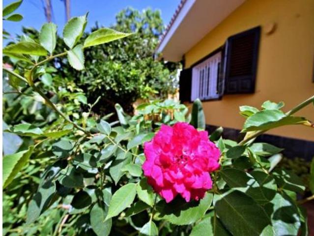 Casa en venta en San Cristóbal de La Laguna, Canarias