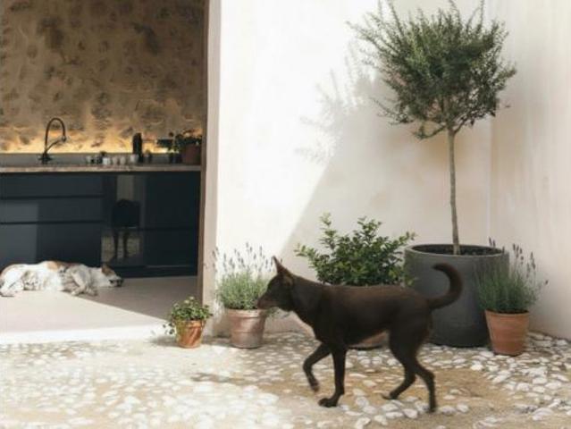 Casa en venta en Biniali, Pla de Mallorca