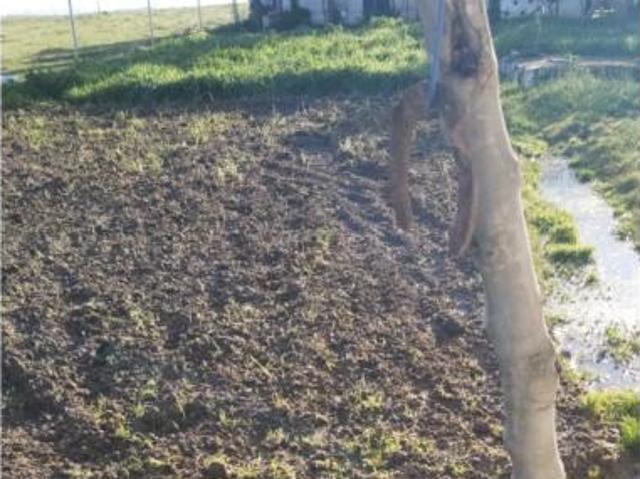 Casa en venta en Cáceres - Sierra de Montánchez, Extremadura