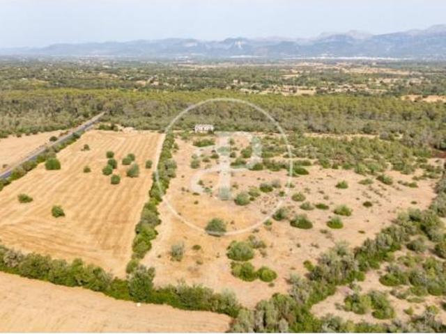 Casa en venta en ses Cases Noves, Pla de Mallorca
