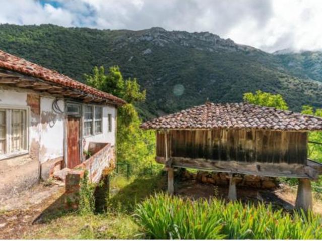 Casa en venta en Somiedo, Asturias