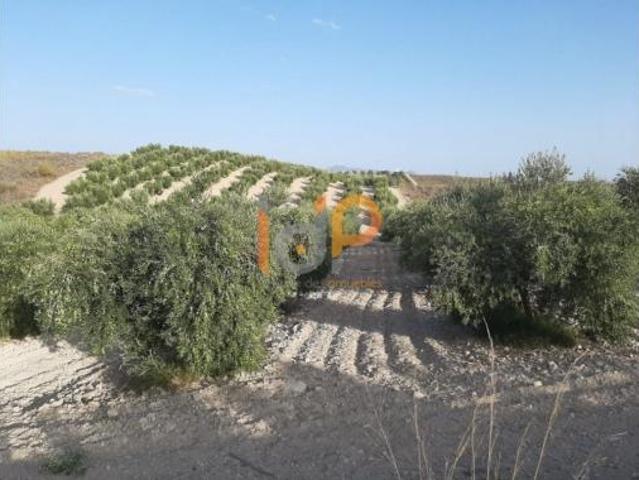 Casa en venta en Sorbas, Andalucía