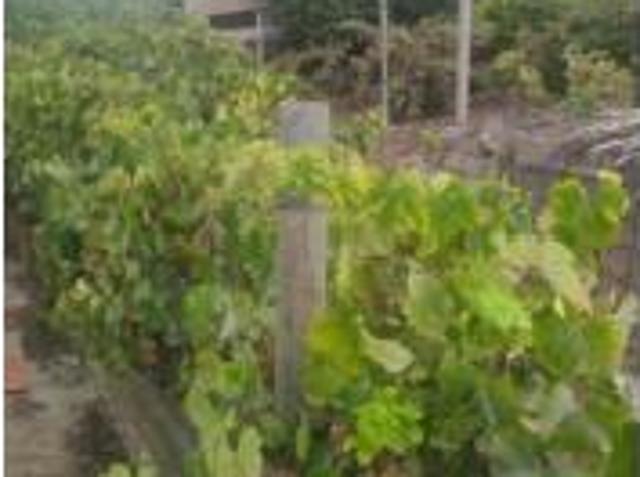 Casa en venta en Las Higueras, Tacoronte