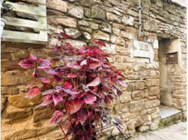 Casa en venta en Erdialdea, Navarra