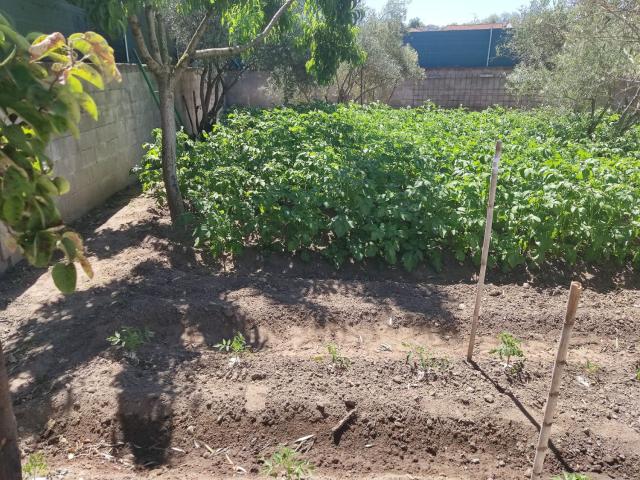 Casa en venta en Escalona