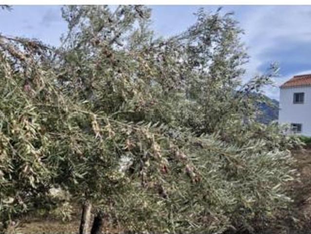 Casa en venta en La Axarquía, Andalucía