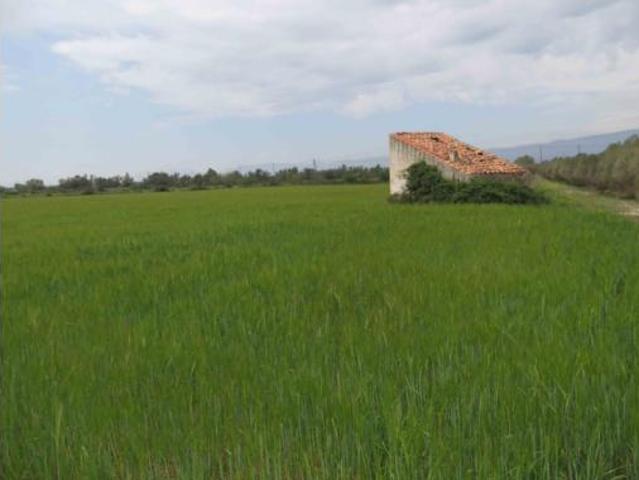 Casa en venta en la Miliana, Montsià