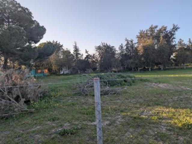 Casa en venta en Los Rebolaos, Utrera