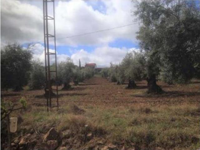 Casa en venta en Llanos de Olivenza, Extremadura