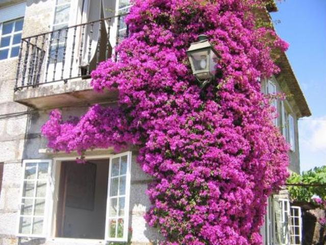 Casa en venta en Saiáns, Vigo