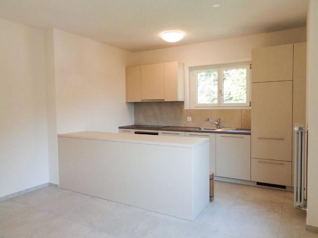 Apartment mieten in Bellinzona, Tessin