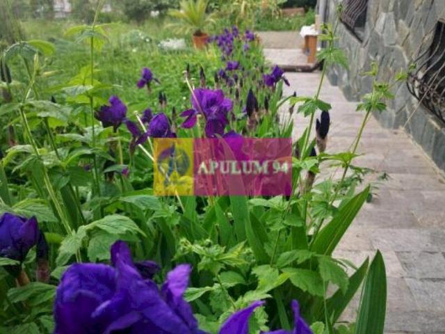 Casă vânzări în Poiana Campina, Prahova