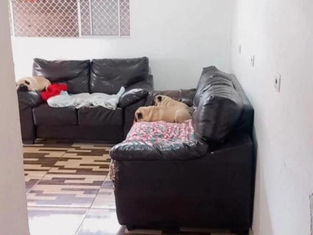 Casa venda em Região Imediata de São Paulo, Região Metropolitana de São Paulo