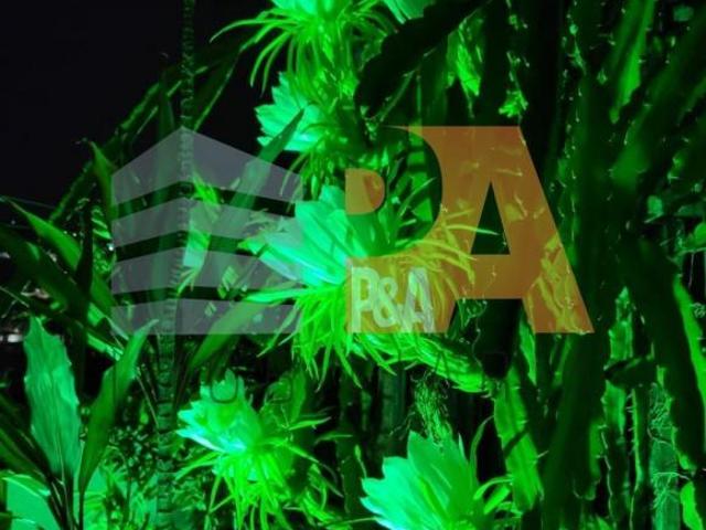 Casa venda em Casa Verde Baixa, Pedreira