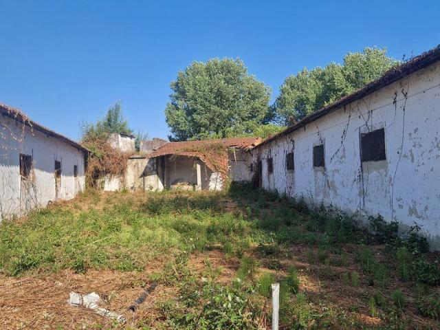 Vivenda venda em Batalha, Golpilheira