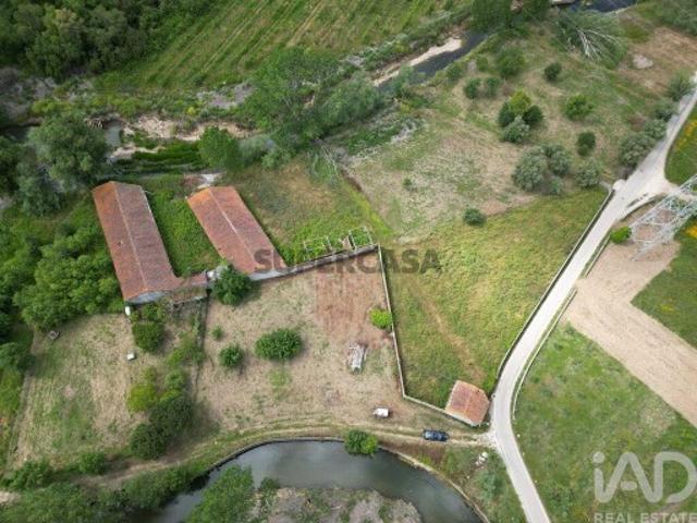 Casa venda em Batalha, Golpilheira