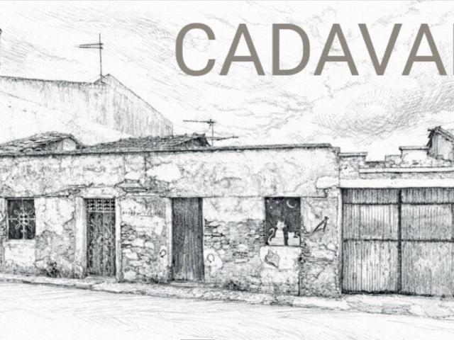 Vivenda venda em Cadaval, Pêro Moniz