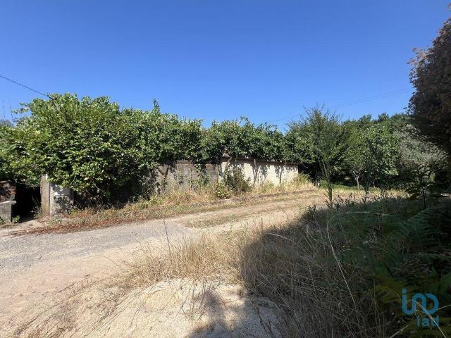 Vivenda venda em Penela, Coimbra