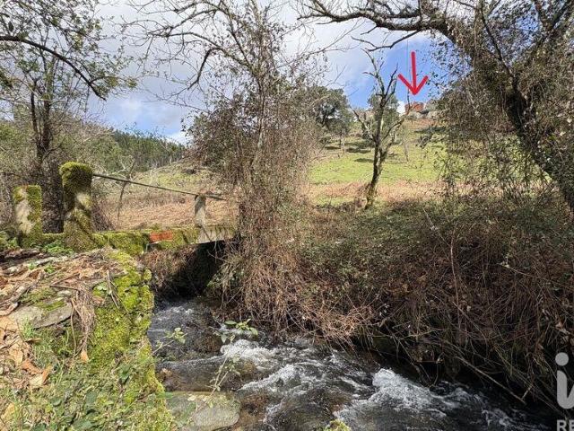 Casa venda em Ribeira Velha, Figueiró Dos Vinhos