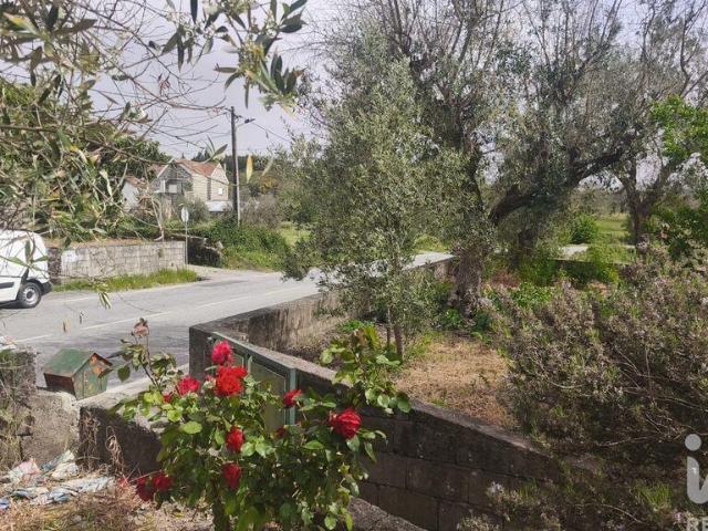 Casa venda em Gavinhos de Cima, Oliveira Do Hospital