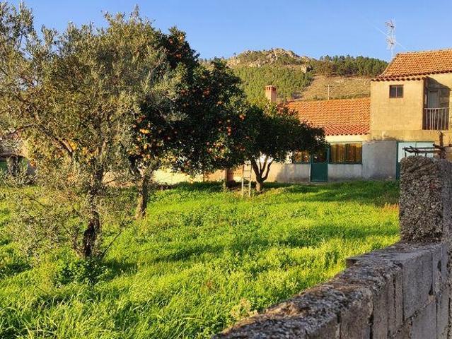 Casa venda em Castelo Branco, Idanha-a-nova