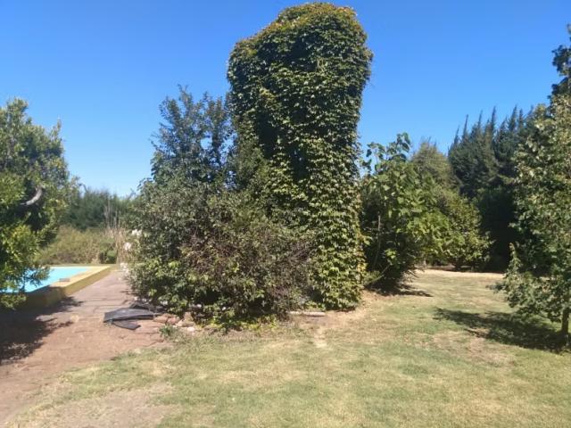 Casa en venta en Villa Alegre, Maule