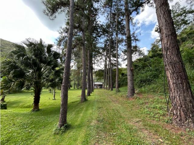 Finca en venta en Sabaneta, Municipio Montalbán