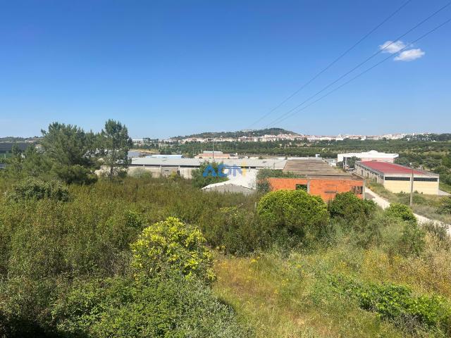 Terreno venda em Castelo Branco