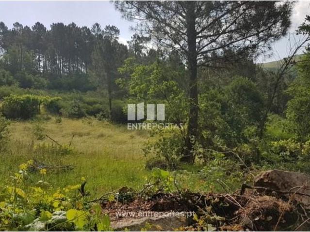 Casa venda em Rio de Galinhas, Marco De Canaveses