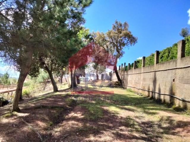 Casa venda em Quinta do Freixo, Caldas Da Rainha