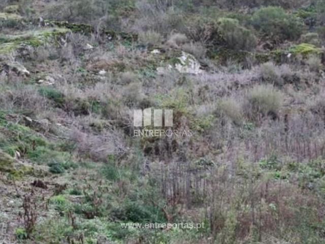 Casa venda em Arga De Baixo, Viana Do Castelo