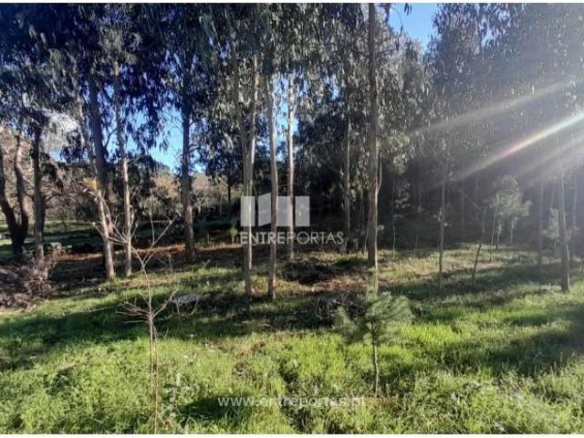 Casa venda em Gelfa, Arga De Baixo
