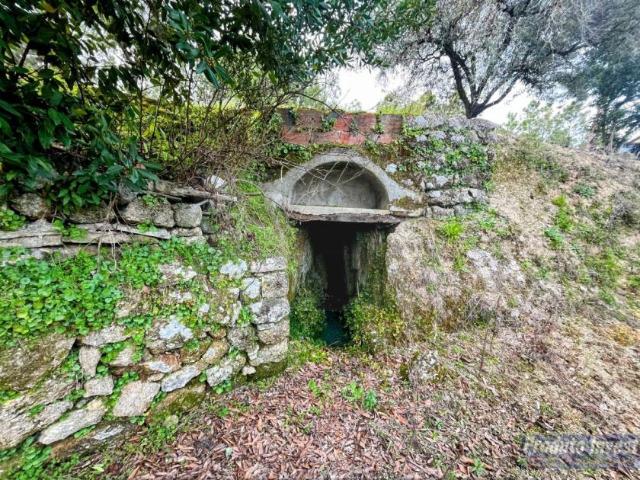 Casa venda em Castelo Branco, Aldeia Nova Do Cabo