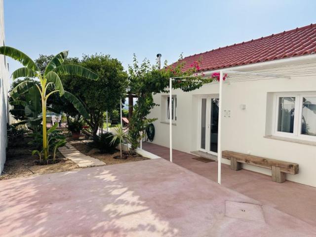 Casa alugar em Chamusca e Pinheiro Grande, Chamusca