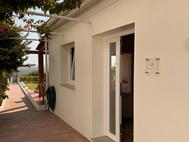 Casa alugar em Chamusca e Pinheiro Grande, Chamusca
