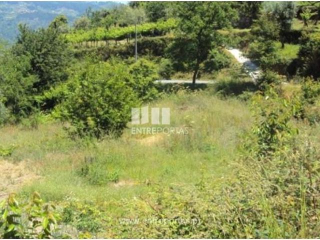 Casa venda em Tarouquela, Viseu