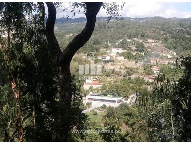 Casa venda em Meijoadas, Espadanedo