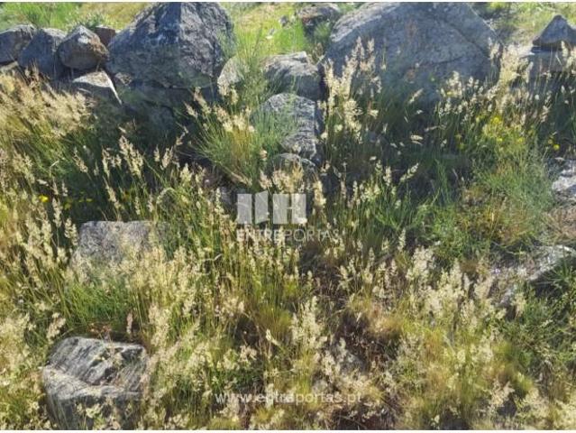 Casa venda em Meijoadas, Espadanedo