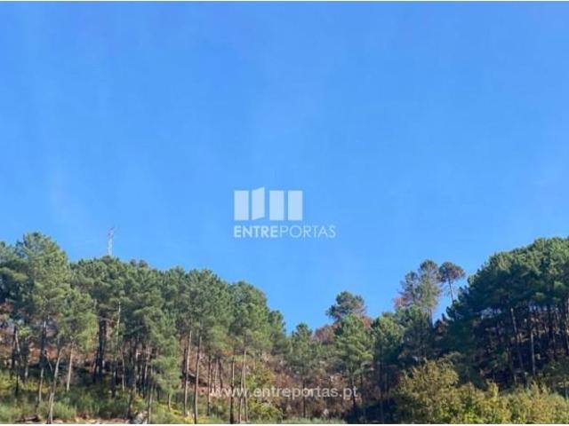 Casa venda em São Cristóvão De Nogueira, Viseu